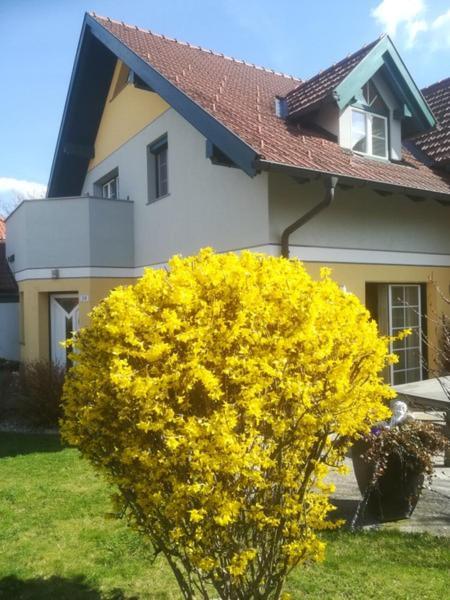Vronis-Apartment Stephanshart ภายนอก รูปภาพ